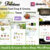 1 Year Domain & Hosting